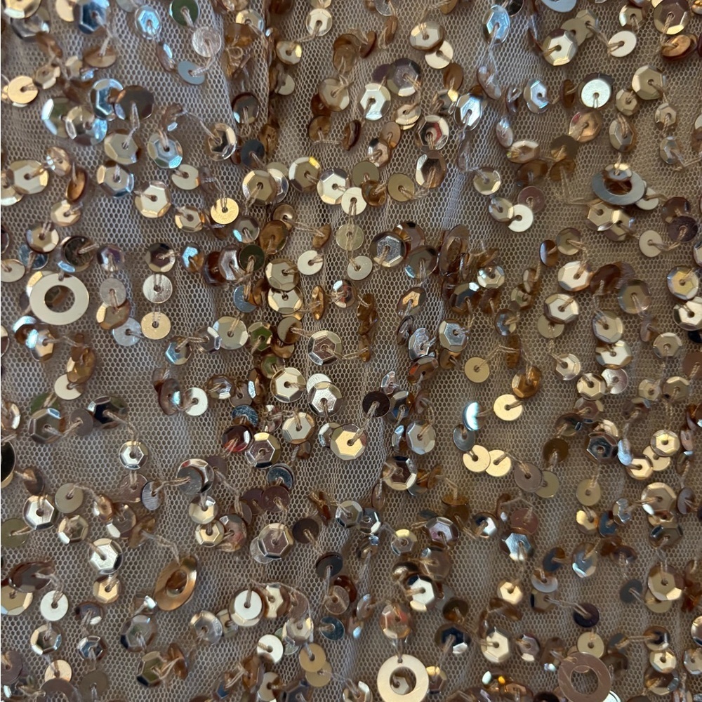 Anthropologie BHLDN Adrianna Papell Lucent Elegant Gold Sequin Evening G… - Picture 10 of 10